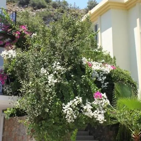 Aparthotel Lacivert Boutique Hotel