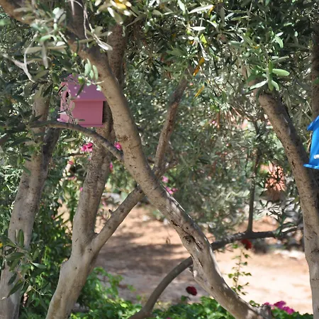 Lacivert Boutique Hotel 4*