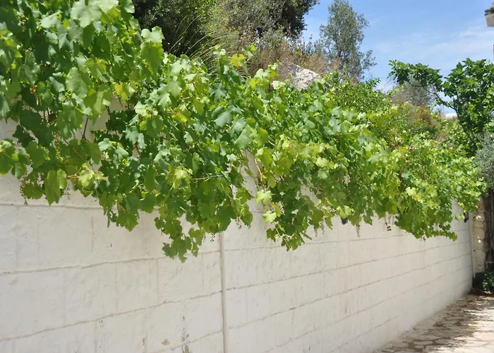 Aparthotel Lacivert Boutique 4*