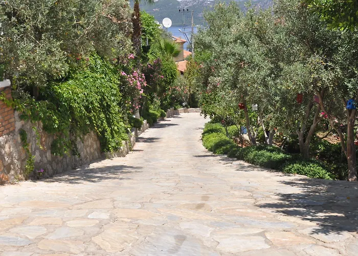 Lacivert Boutique 4*