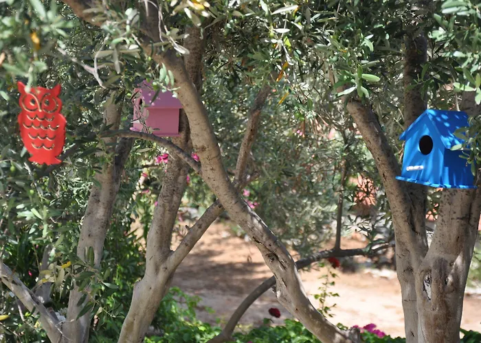 Lacivert Boutique 4*