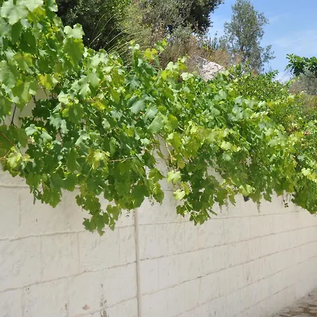 Lejlighedshotel Lacivert Boutique 4*